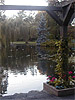 Beacon Hill Park Pond