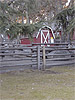 Beacon Hill Park Petting Zoo